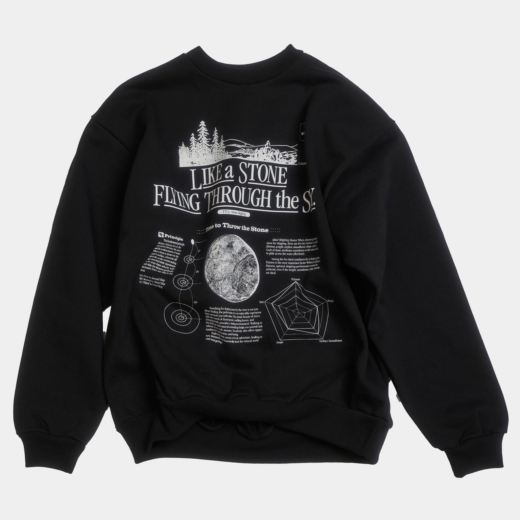 HIDAKA "STEINER SWEATSHIRTS" グラフィックスウェットシャツ