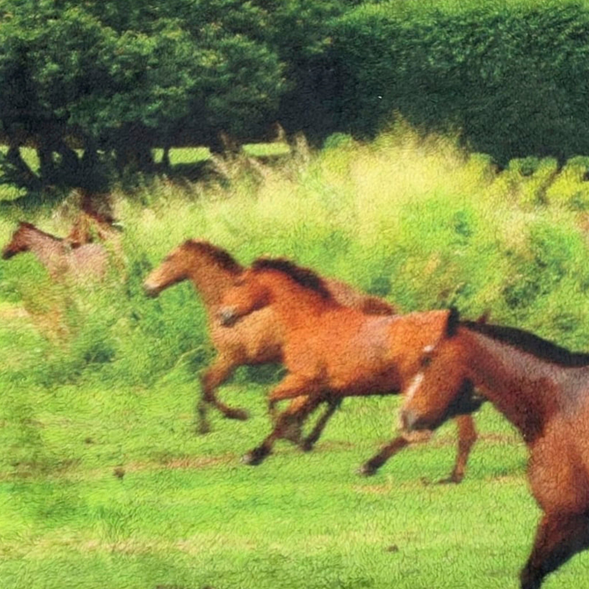 RANDY "AREA / HORSE" ホースプリント フリースブランケット